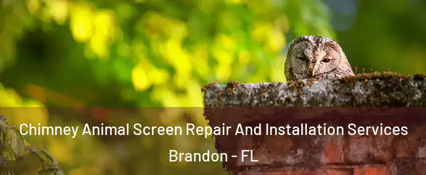 Chimney Animal Screen Repair And Installation Services Brandon - FL