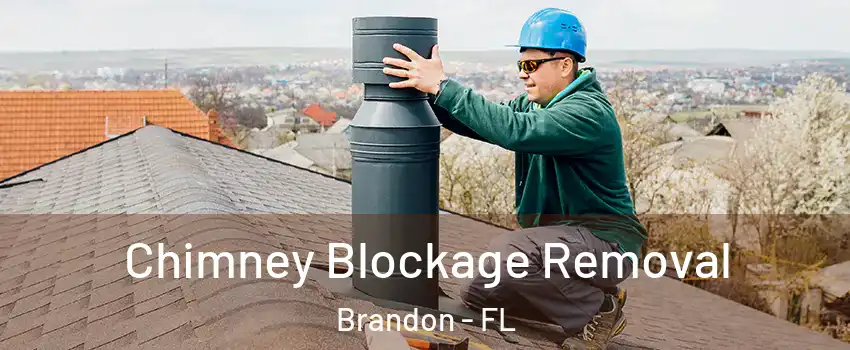 Chimney Blockage Removal Brandon - FL