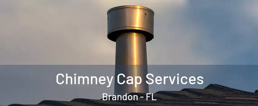 Chimney Cap Services Brandon - FL