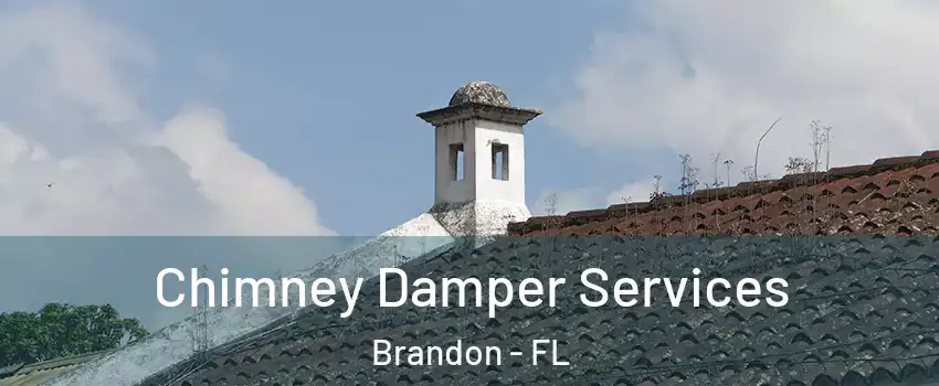 Chimney Damper Services Brandon - FL
