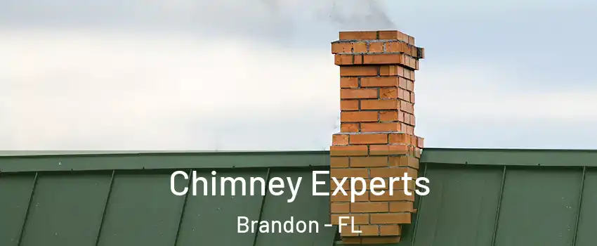 Chimney Experts Brandon - FL