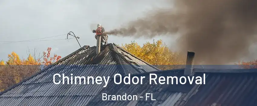 Chimney Odor Removal Brandon - FL