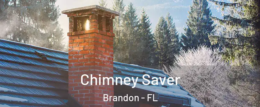 Chimney Saver Brandon - FL