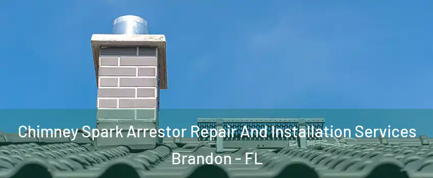 Chimney Spark Arrestor Repair And Installation Services Brandon - FL