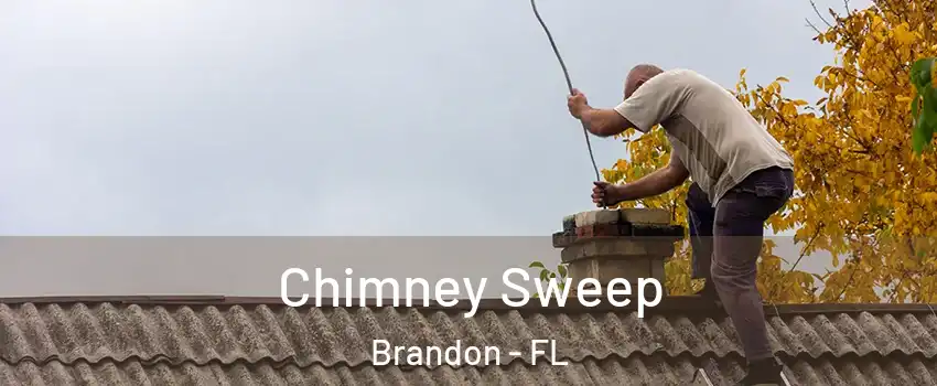 Chimney Sweep Brandon - FL