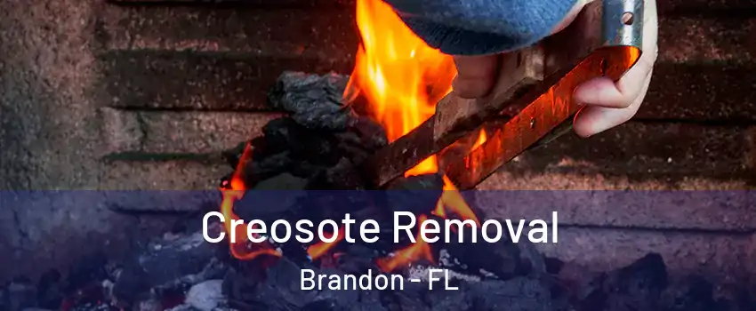 Creosote Removal Brandon - FL