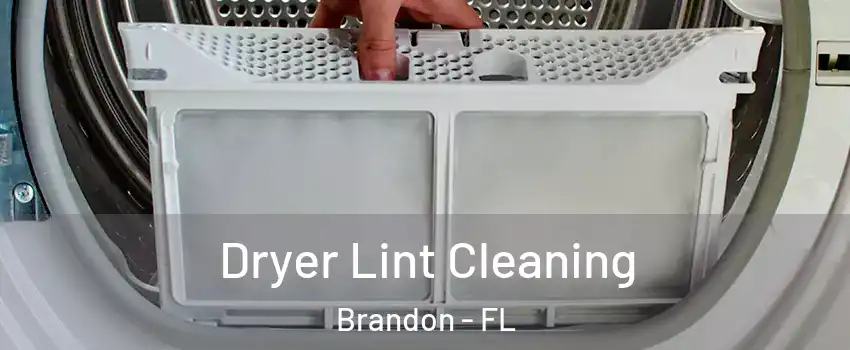Dryer Lint Cleaning Brandon - FL
