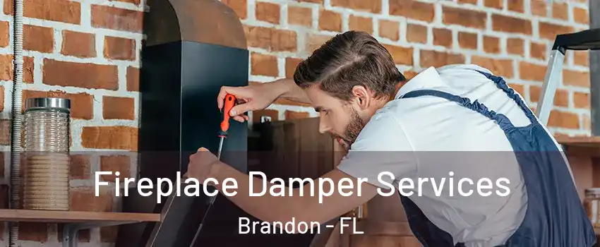 Fireplace Damper Services Brandon - FL