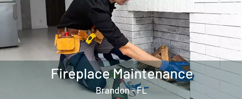 Fireplace Maintenance Brandon - FL