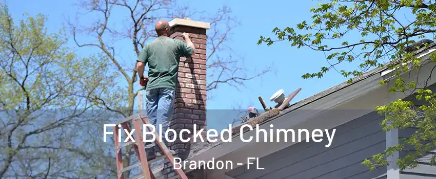 Fix Blocked Chimney Brandon - FL