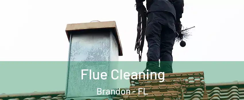 Flue Cleaning Brandon - FL