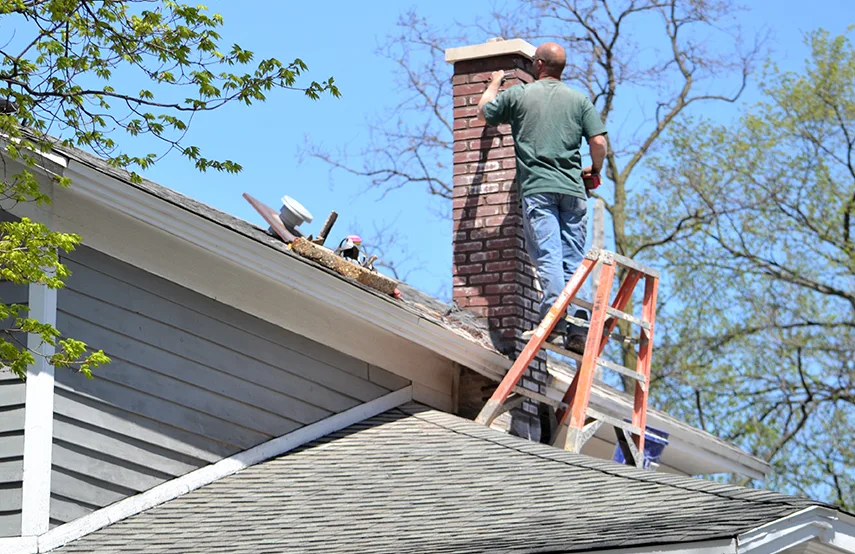 Chimney & Fireplace Inspections Services in Brandon, FL