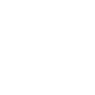 Professional Chimney Flue Installation in Brandon, Florida