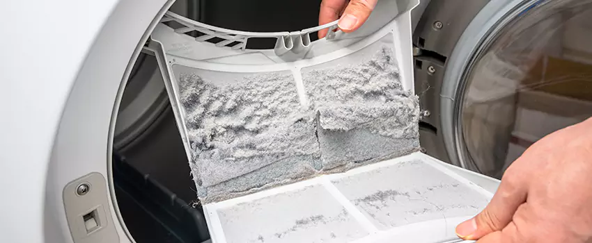 Best Dryer Lint Removal Company in Brandon, Florida