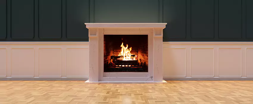 Napoleon Electric Fireplaces Inspection Service in Brandon, Florida