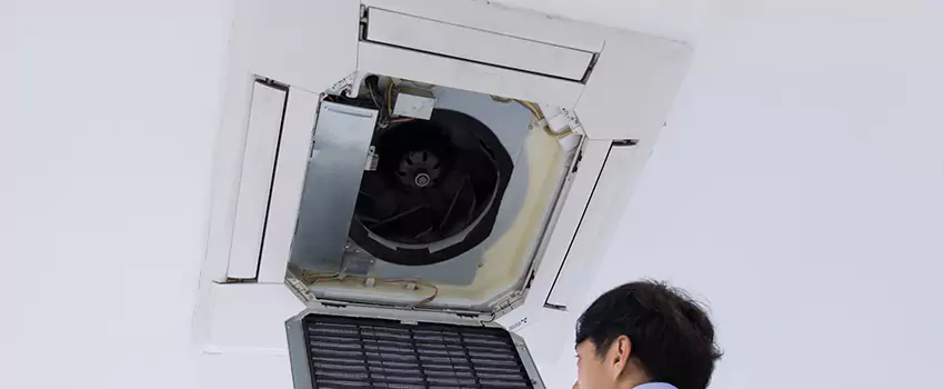 Benefits of Professional Air Duct Cleaning in Brandon, Florida