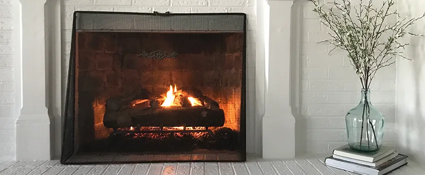 Cost-Effective Fireplace Mantel Inspection And Maintenance in Brandon, FL