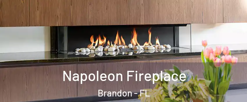 Napoleon Fireplace Brandon - FL